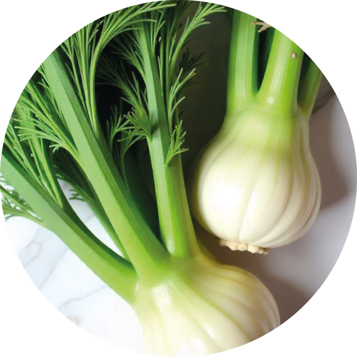 FENOUIL