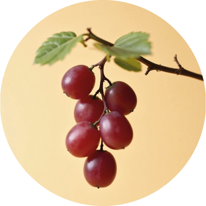 RAISIN ROUGE