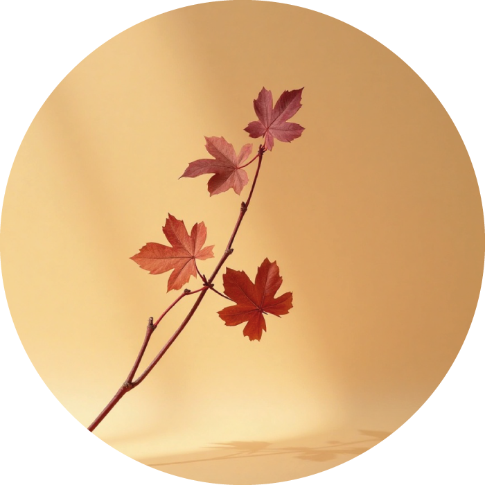VIGNE ROUGE