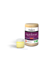 GELEE ROYALE - TERRES FROIDES - FRANCAISE & BIO* - pot de 10g