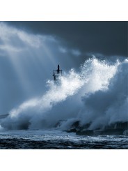 MER
