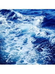 MER