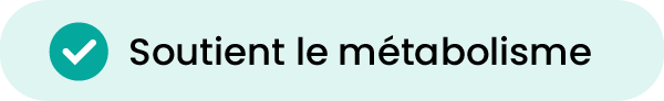 1_Plan de travail 1.png