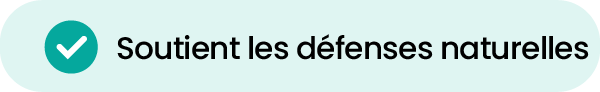 1-05.png