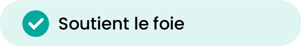 1-04.png
