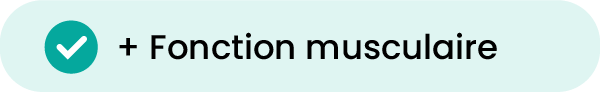 1-05.png