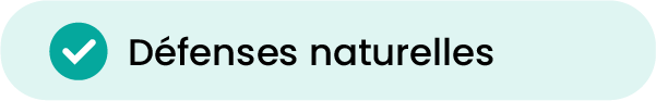 1-06.png