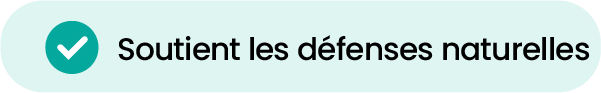 1-06.png